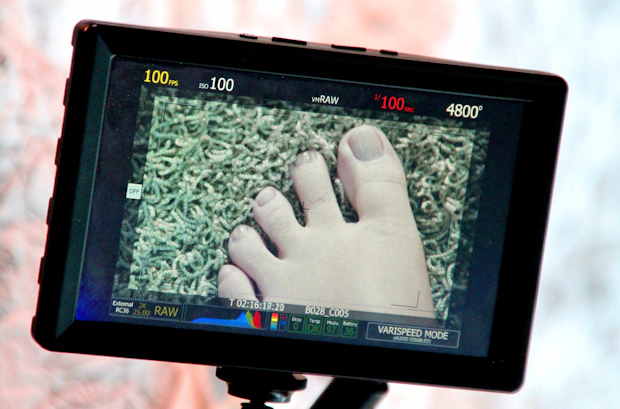vm-carpet-4115