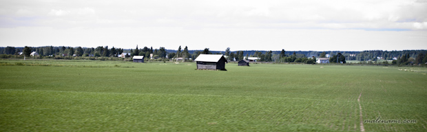 malenami-3578