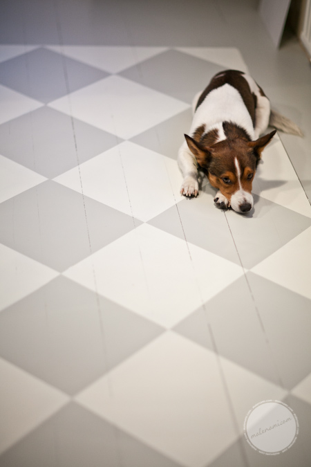 floor-2872
