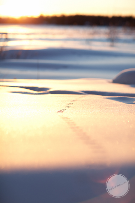 snow-2871