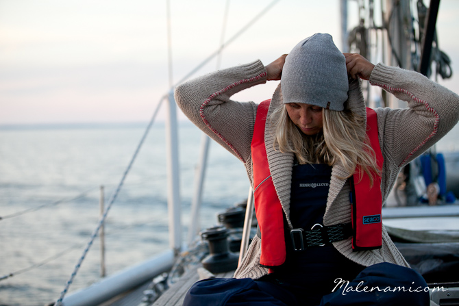 swan-sailing-0147