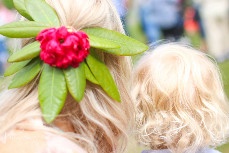midsommar-7820